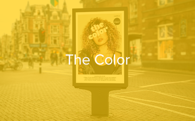 thecolor-rollover(1).png